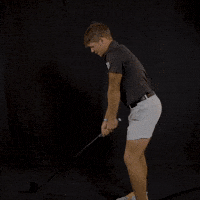 Fort Wayne Golf GIF by Purdue Fort Wayne Athletics