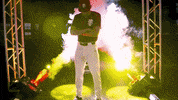 college baseball fsu GIF by NCAA Championships