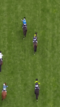 Winning Melbourne Cup GIF by World Horse Racing