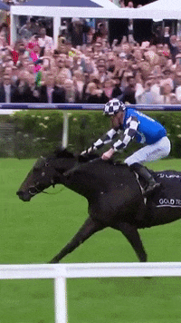 Winning Melbourne Cup GIF by World Horse Racing