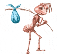 Ant GIF