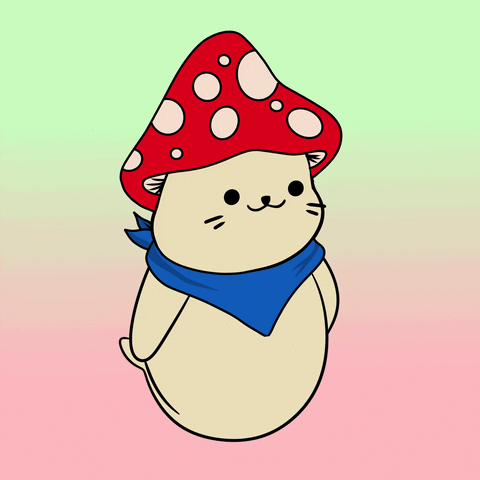 Happy Dance GIF by Sappy Seals Community