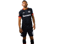 Bayer 04 Werkself Sticker by Bayer 04 Leverkusen
