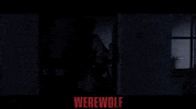 Horror Film Thriller GIF by Indiecan Entertainment Inc.
