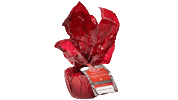 Christmas Pudding Sticker by Blas ar Fwyd