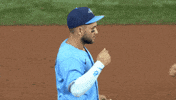 Blue Jays Baseball GIF by Toronto Blue Jays