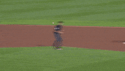 France Baseball GIF by Toronto Blue Jays
