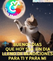 Para Ti Logo GIF by Murcianys LLC