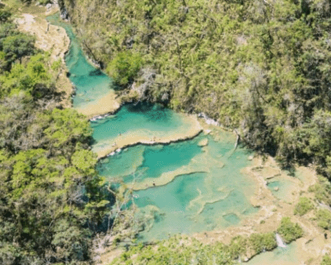 karinaroche8223 giphygifmaker GIF