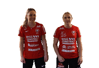 Crash Floorball Sticker by Storvreta IBK