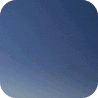 GIF by Bollgard