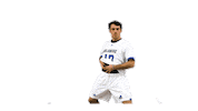 Mens Lacrosse Fun Sticker by Delaware Blue Hens