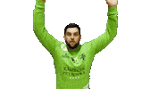 Move Handball Sticker by HCB Karviná