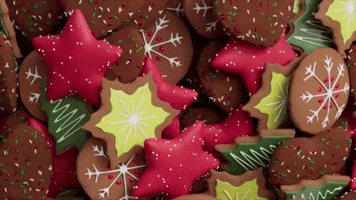 Christmas Cookie GIF by DKISS
