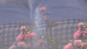 GIF by SEOLGOLD
