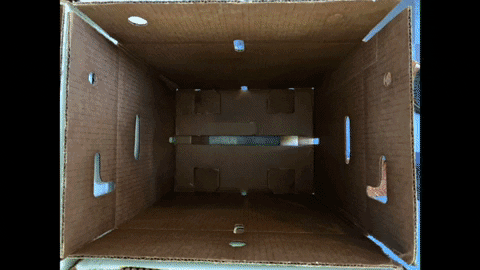 ANVFarm giphyupload GIF