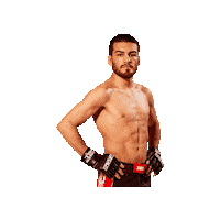 Mixed Martial Arts Mma Sticker by BRAVE Combat Federation