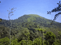 Alenoz GIF