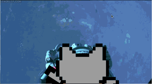 real life nyan cat GIF by Cheezburger