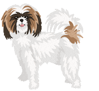 Shih Tzu Dog Sticker