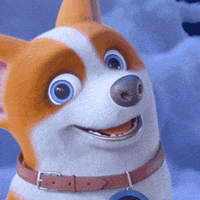 mocoaifay dance dog song corgi GIF