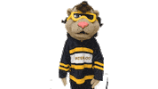University Of Waterloo Mascot Sticker by Waterloo Warriors