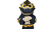 University Of Waterloo Mascot Sticker by Waterloo Warriors