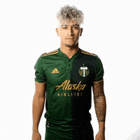 Portland Timbers Sport GIF by Timbers
