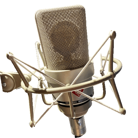 Microphone Microfoon Sticker by sprekendmiranda