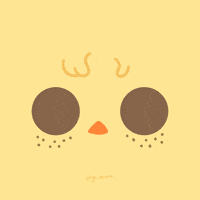 sy_cotton41 felix bbokari 李龍馥 sycotton41 GIF
