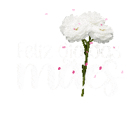 Mãe Sticker