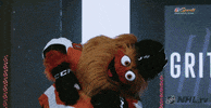 PhiladelphiaFlyers flyers philadelphia philly gritty GIF