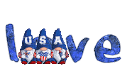 America Love Sticker
