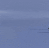 Dog 3D GIF