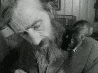 Exploring Going Down GIF by Beeld en Geluid