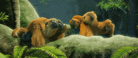 tatprod film tired monkey bored GIF