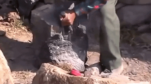 juanantoniosanchezscott giphygifmaker GIF