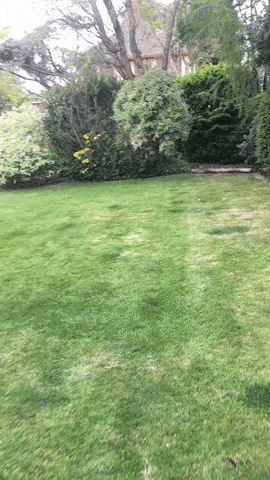 flip shovel GIF