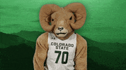 Csurams Gorams GIF by Colorado State Rams