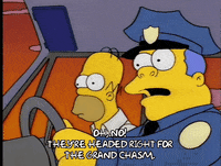 homer simpson episode 6 GIF