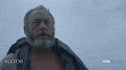 Hbo GIF by Game of Thrones