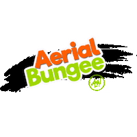 Bungeeworkout Bungeefitness Sticker by AWBungee