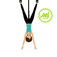 Bungeeworkout Bungeefitness Sticker by AWBungee