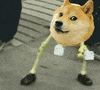 doge know GIF