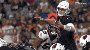 2018 Nfl Football GIF by NFL