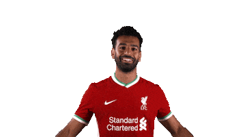 Premier League Football Sticker by Liverpool FC