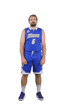 Basketball No Sticker by ACSL - Austrian College Sports League