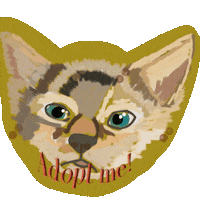Kitten Adopt Sticker