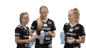 Floorball Salibandy Sticker by F-liiga