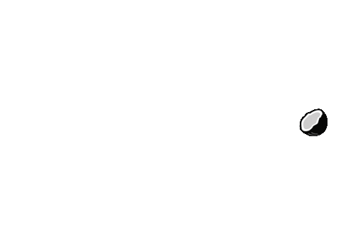 PlayasdeVenezuela giphyupload cocoloco choroni cepe Sticker